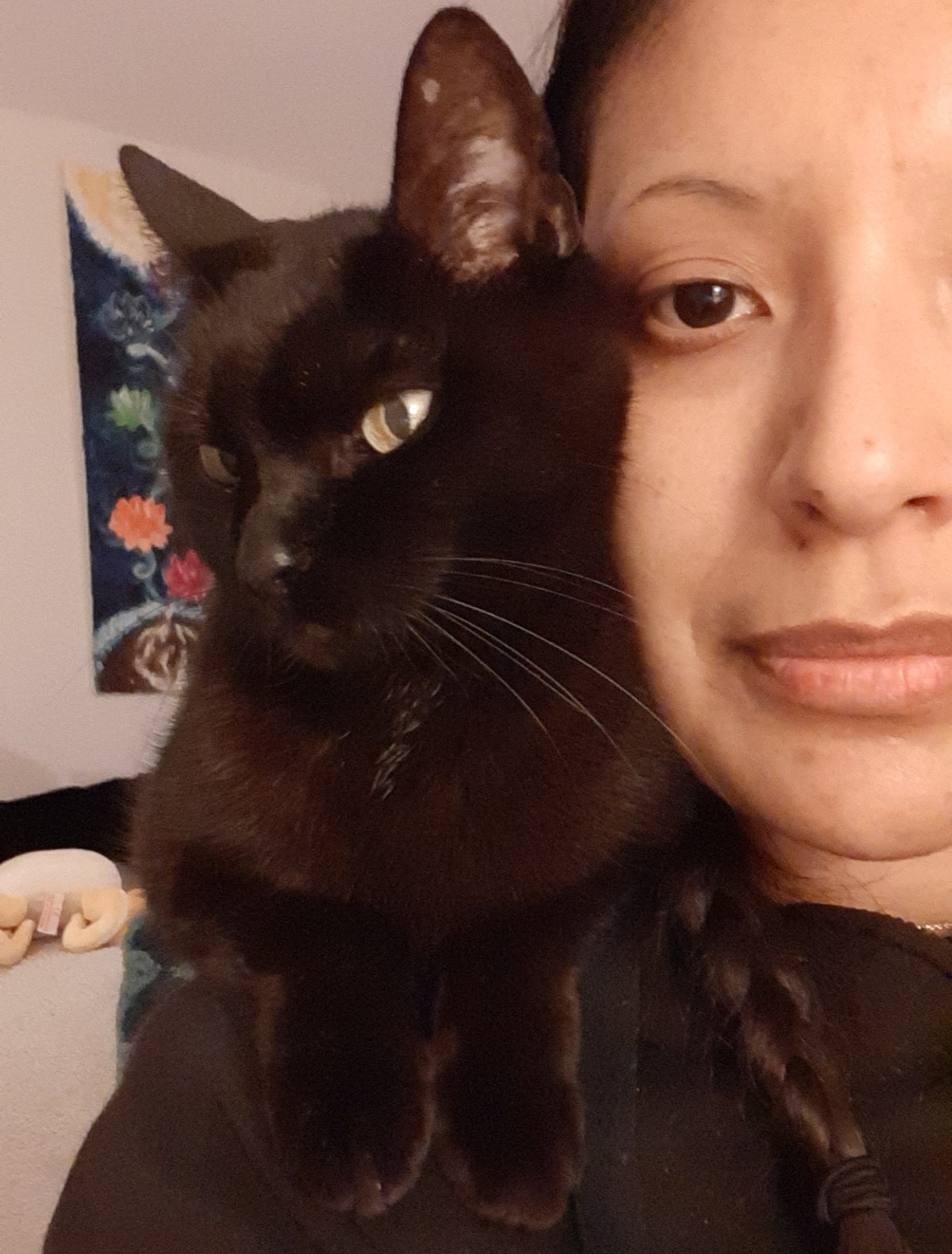 L&rsquo;histoire de Kimé